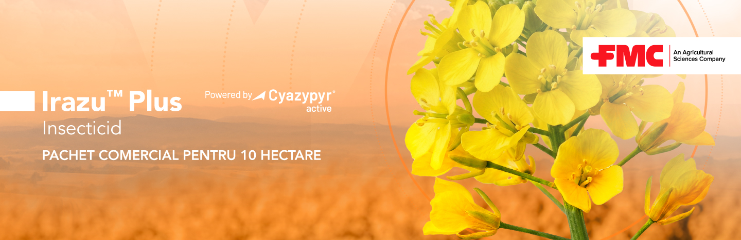 Homepage Irazu