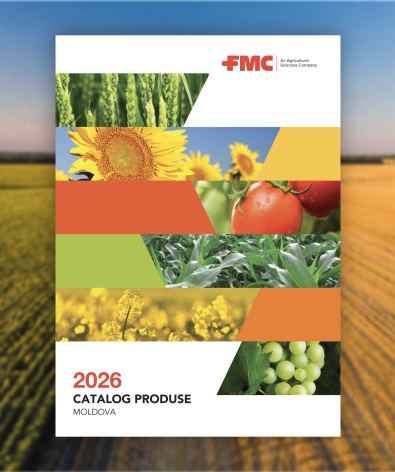 coperta catalog RepMoldova