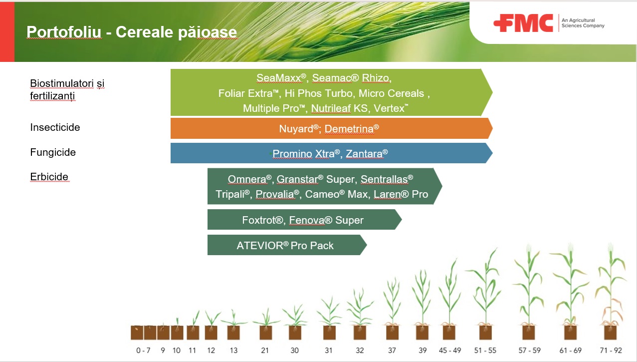 tehnologia fmc cereale paioase