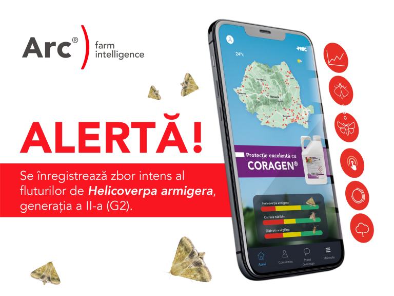 Alerta arc