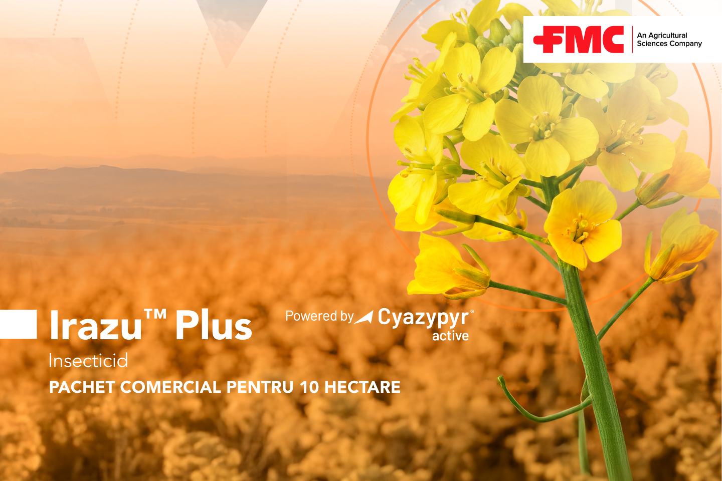 Irazu Plus