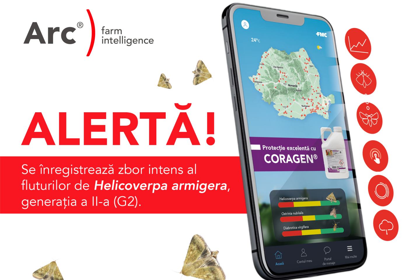 Alerta arc