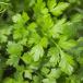 Parsley